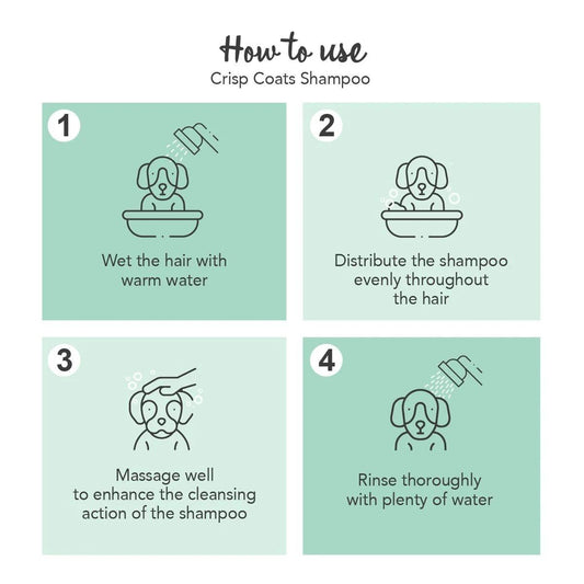 Yuup! Home Crisp Coats Shampoo - Image 2