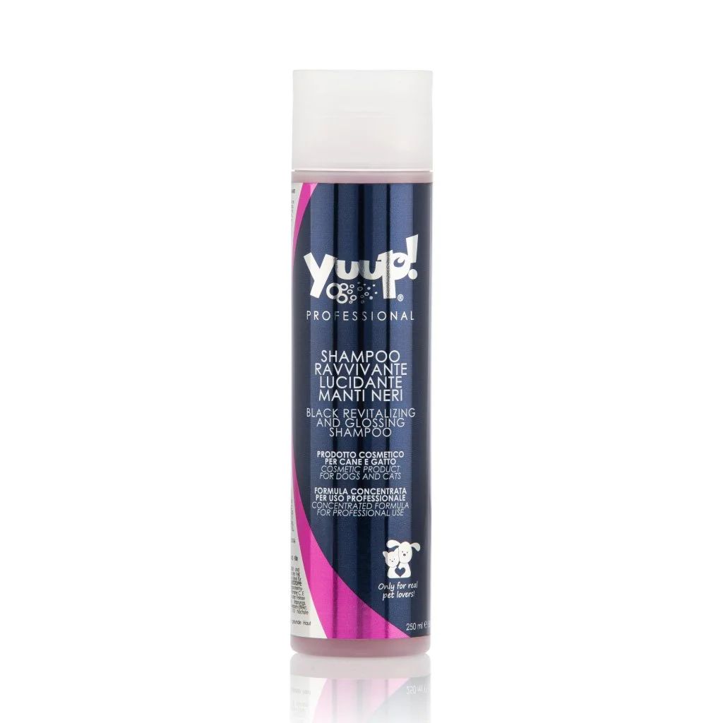 Yuup! Professional Black Revitalizing and Glossing Shampoo - Image 3